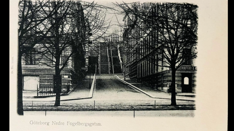 Trapporna mellan Nedre och Övre Fogelbergsgatan, tidigt 1900-tal